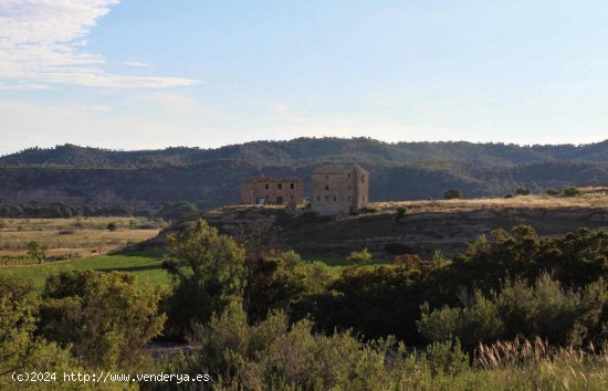 Finca en venta en Batea (Tarragona)