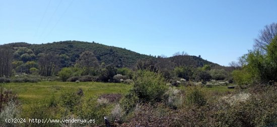 Finca en venta en Madrigal de la Vera (Cáceres)