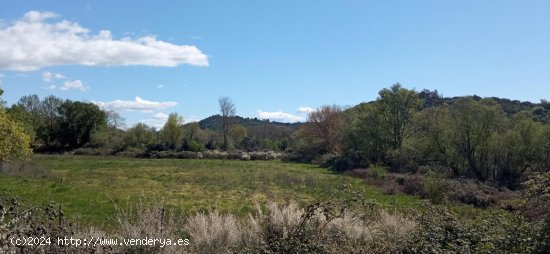 Finca en venta en Madrigal de la Vera (Cáceres)