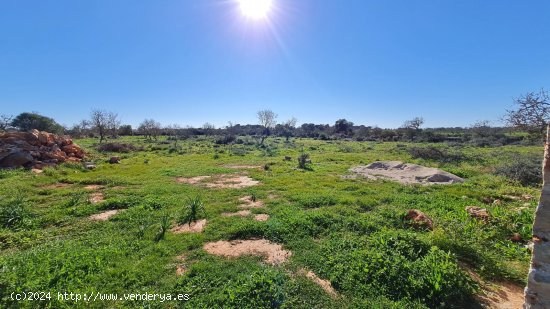 Finca en venta en Ses Salines (Baleares)