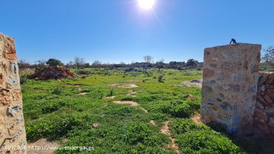 Finca en venta en Ses Salines (Baleares)