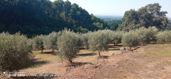 Finca en venta en Candeleda (Ávila)