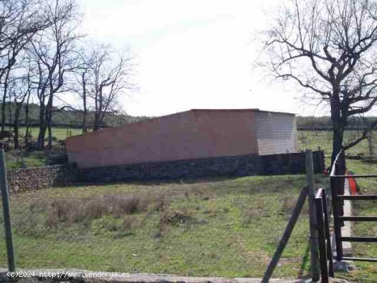 Finca en venta en Candeleda (Ávila)