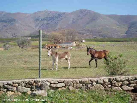 Finca en venta en Candeleda (Ávila)