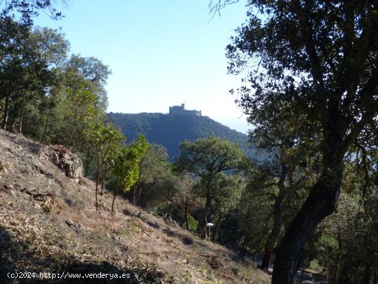 Parcela en venta en Arbúcies (Girona)