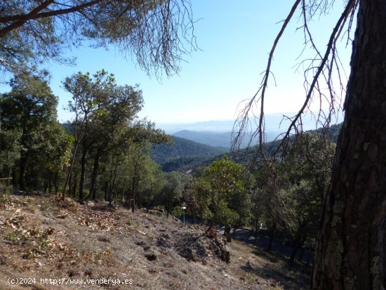 Parcela en venta en Arbúcies (Girona)