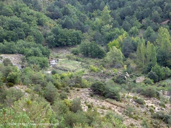 Parcela en venta en Boltaña (Huesca)