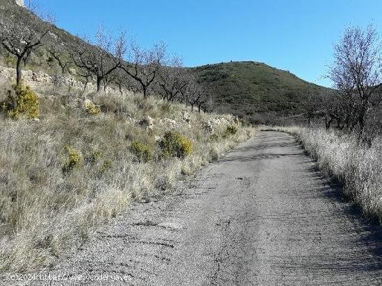 Parcela en venta en Tírig (Castellón)