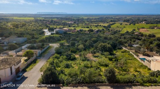  Solar en venta en Ses Salines (Baleares) 