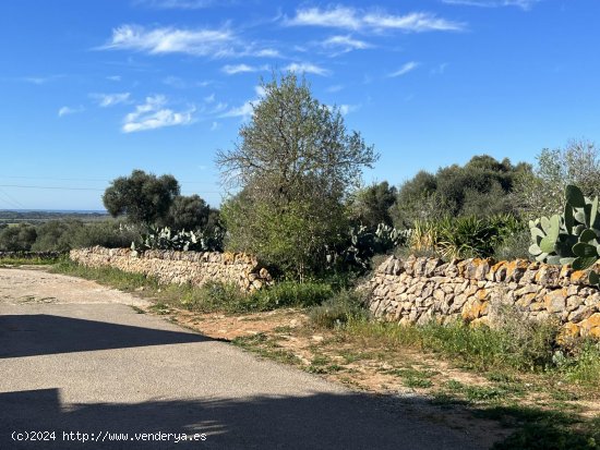 Solar en venta en Ses Salines (Baleares)