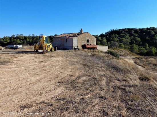 Finca en venta en Maella (Zaragoza)