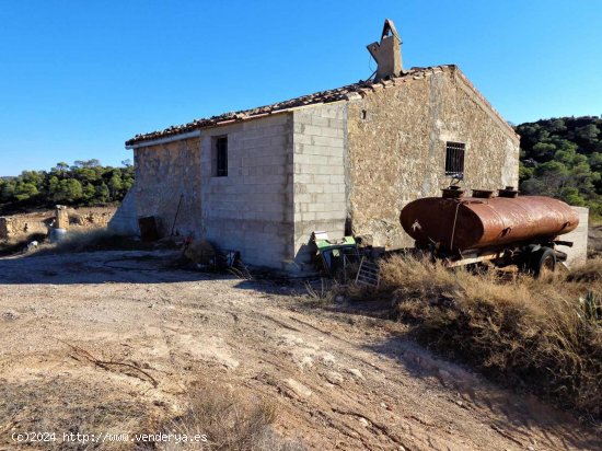 Finca en venta en Maella (Zaragoza)