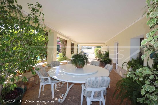 Finca en venta en Pedreguer (Alicante)