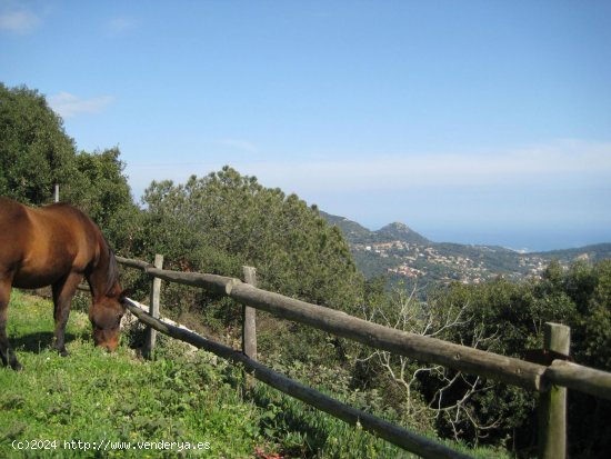 Finca en venta en Cabrils (Barcelona)