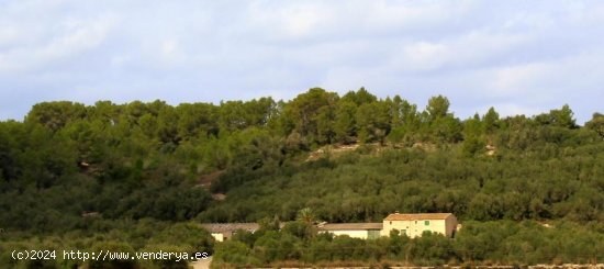  Finca en venta en Sant Joan (Baleares) 