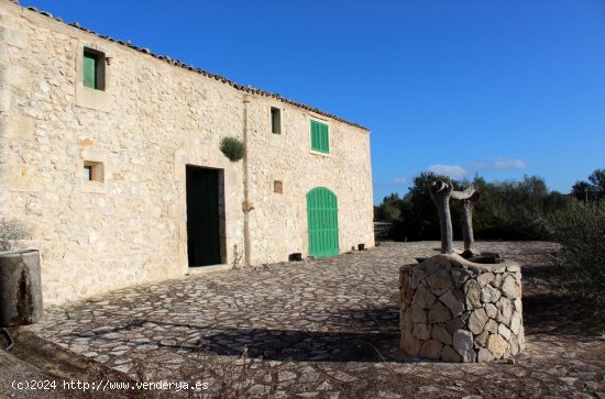 Finca en venta en Sant Joan (Baleares)