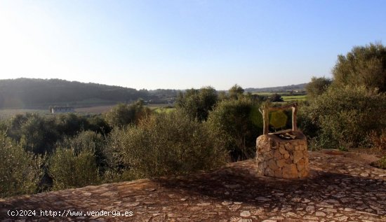 Finca en venta en Sant Joan (Baleares)