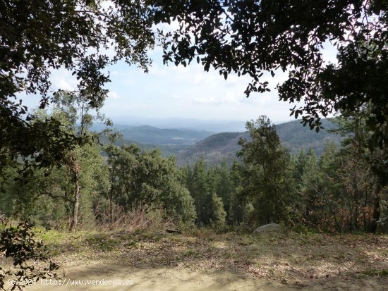 Finca en venta en Montseny (Barcelona)