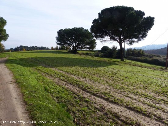 Finca en venta en Massanes (Girona)