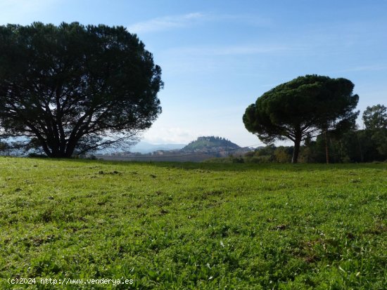 Finca en venta en Massanes (Girona)