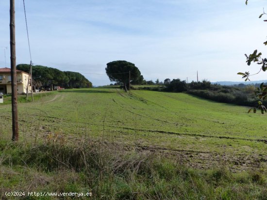 Finca en venta en Massanes (Girona)