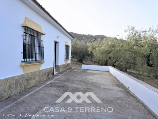 Finca en venta en Alcaucín (Málaga)