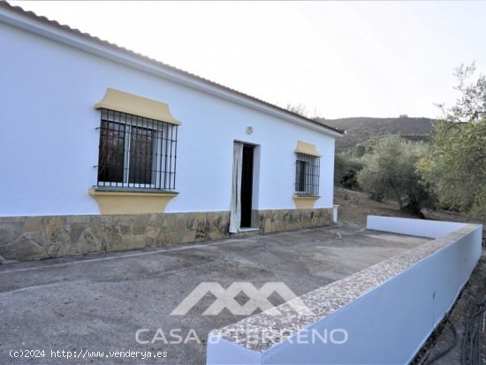 Finca en venta en Alcaucín (Málaga)