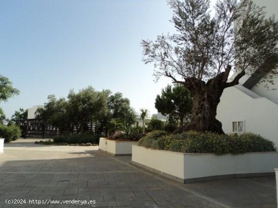 Chalet en alquiler en Rota (Cádiz)