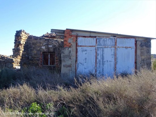 Finca en venta en Caspe (Zaragoza)