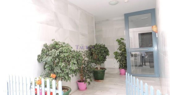 Apartamento en venta en Canillas de Aceituno (Málaga)