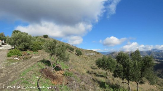 Solar en venta en Sayalonga (Málaga)