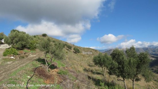 Solar en venta en Sayalonga (Málaga)