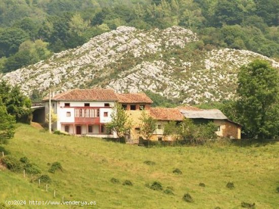 Finca en venta en Parres (Asturias)