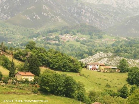 Finca en venta en Parres (Asturias)