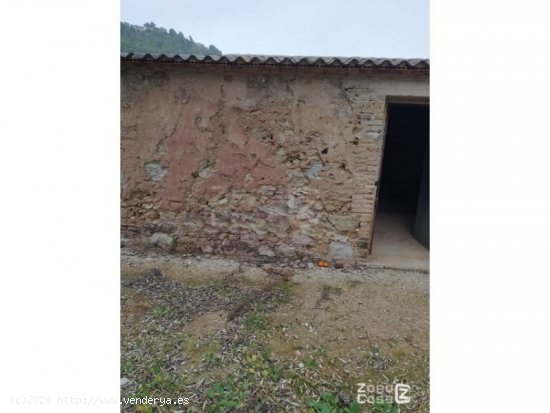 Finca en venta en Alzira (Valencia)