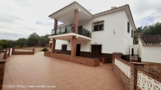 Finca en venta en Alcaucín (Málaga)