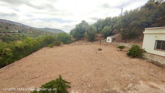 Finca en venta en Alcaucín (Málaga)