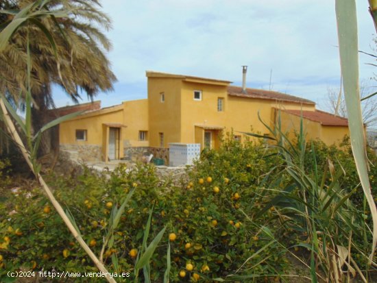  Finca en venta en Orihuela (Alicante) 