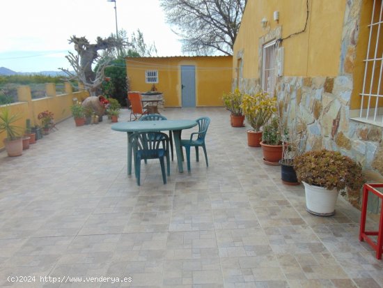 Finca en venta en Orihuela (Alicante)