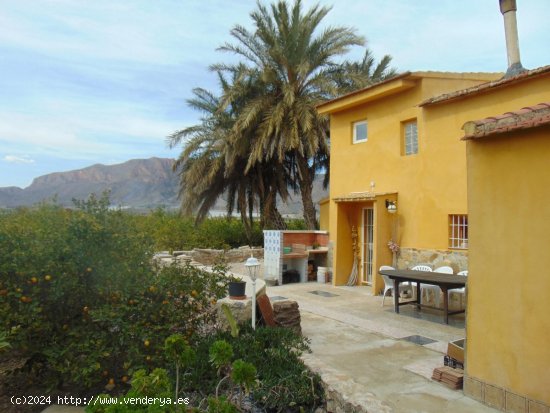 Finca en venta en Orihuela (Alicante)