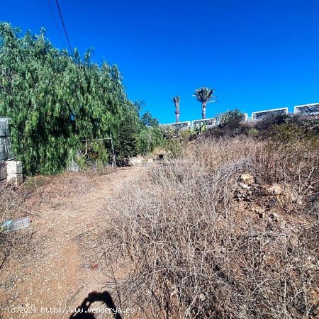 Solar en venta en Granadilla de Abona (Tenerife)