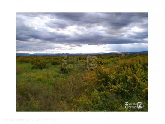 Finca en venta en Guadassuar (Valencia)