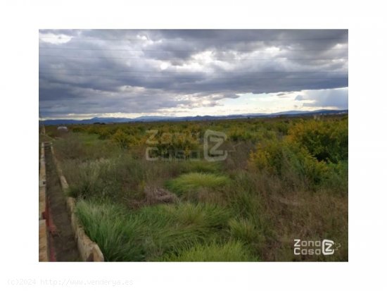 Finca en venta en Guadassuar (Valencia)