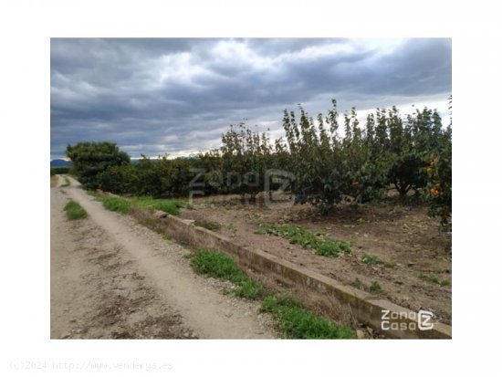 Finca en venta en Alzira (Valencia)