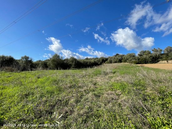 Solar en venta en Muro (Baleares)