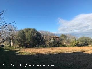 Solar en venta en Felanitx (Baleares)