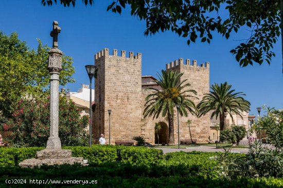 Solar en venta en Alcúdia (Baleares)