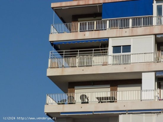 Apartamento en venta en Torrevieja (Alicante)