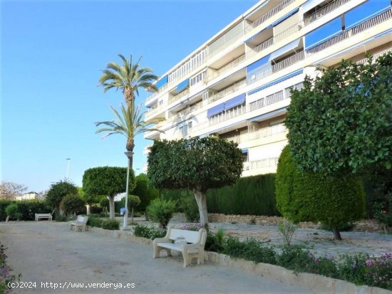 Apartamento en venta en Torrevieja (Alicante)