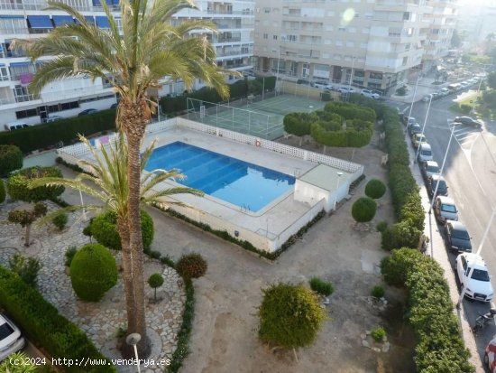 Apartamento en venta en Torrevieja (Alicante)